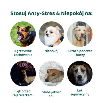 Anty-Stres & Niepokój🌿 100% naturalne 🫙 60 smakolyków