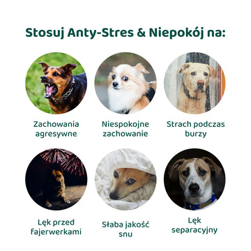 Anty-Stres & Niepokój🌿 100% naturalne 🫙 60 smakolyków