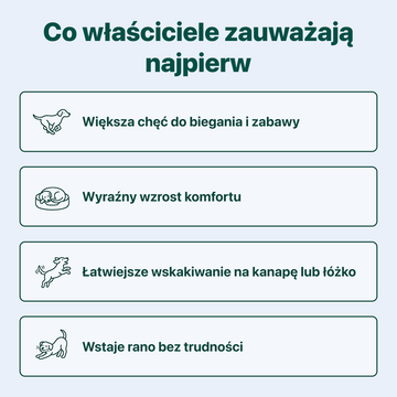 Stawy i Ruchomość | 100% naturalne | 60 smakolyków