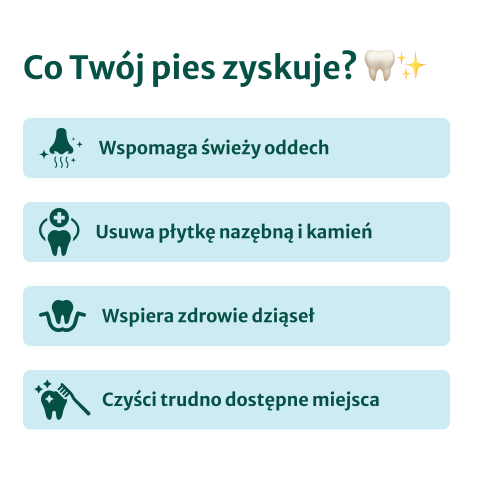 Clean Bite Gryzaki Dentystyczne | 100% naturalne | 5 gryzaków w opakowaniu