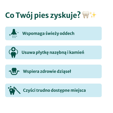 Clean Bite Gryzaki Dentystyczne | 100% naturalne | 5 gryzaków w opakowaniu