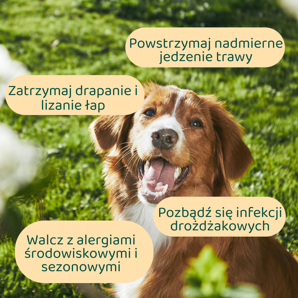 Anty-Świąd 🌿 100% naturalne 🫙 60 smakolyków