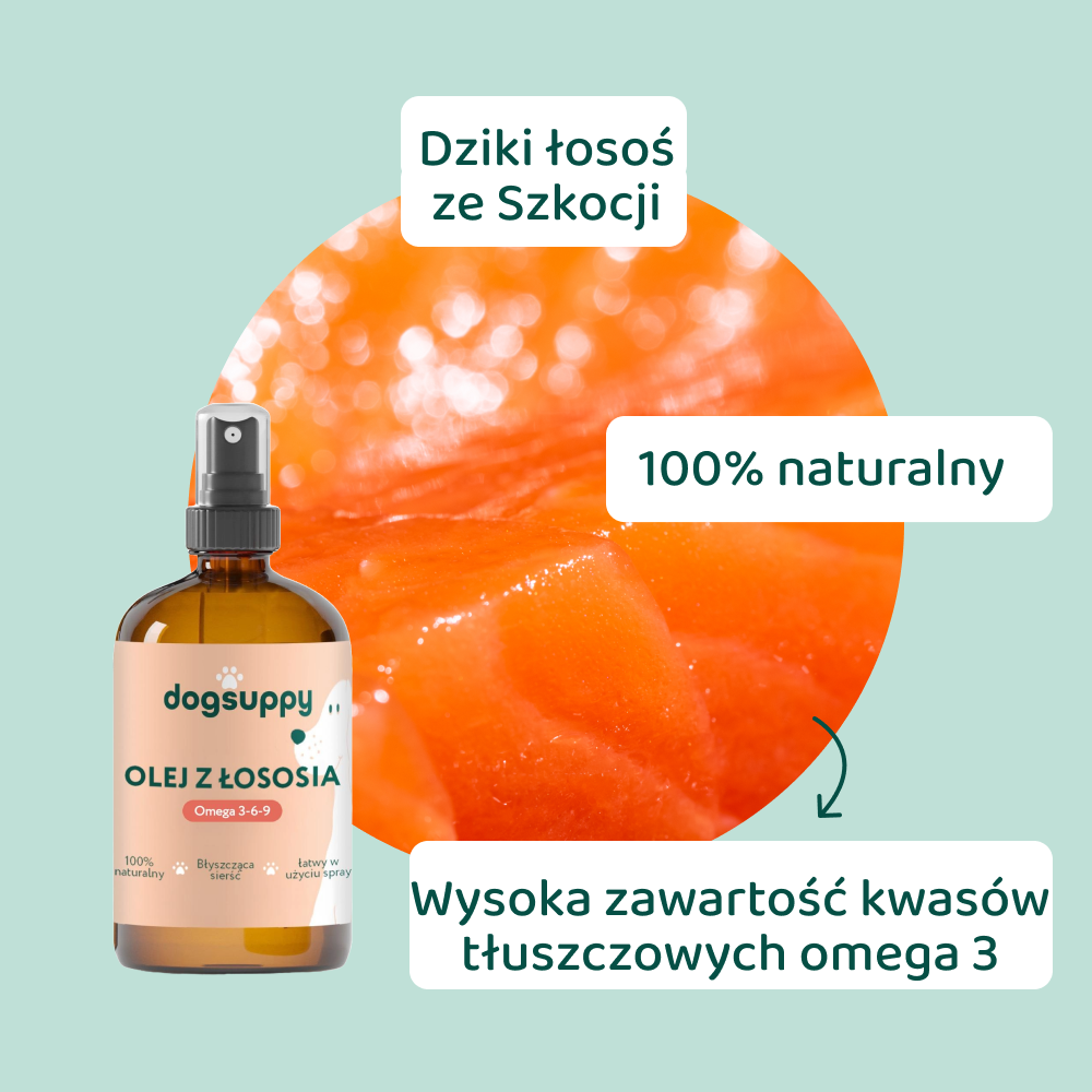 Olej z łososia | 100% naturalne | 100ml
